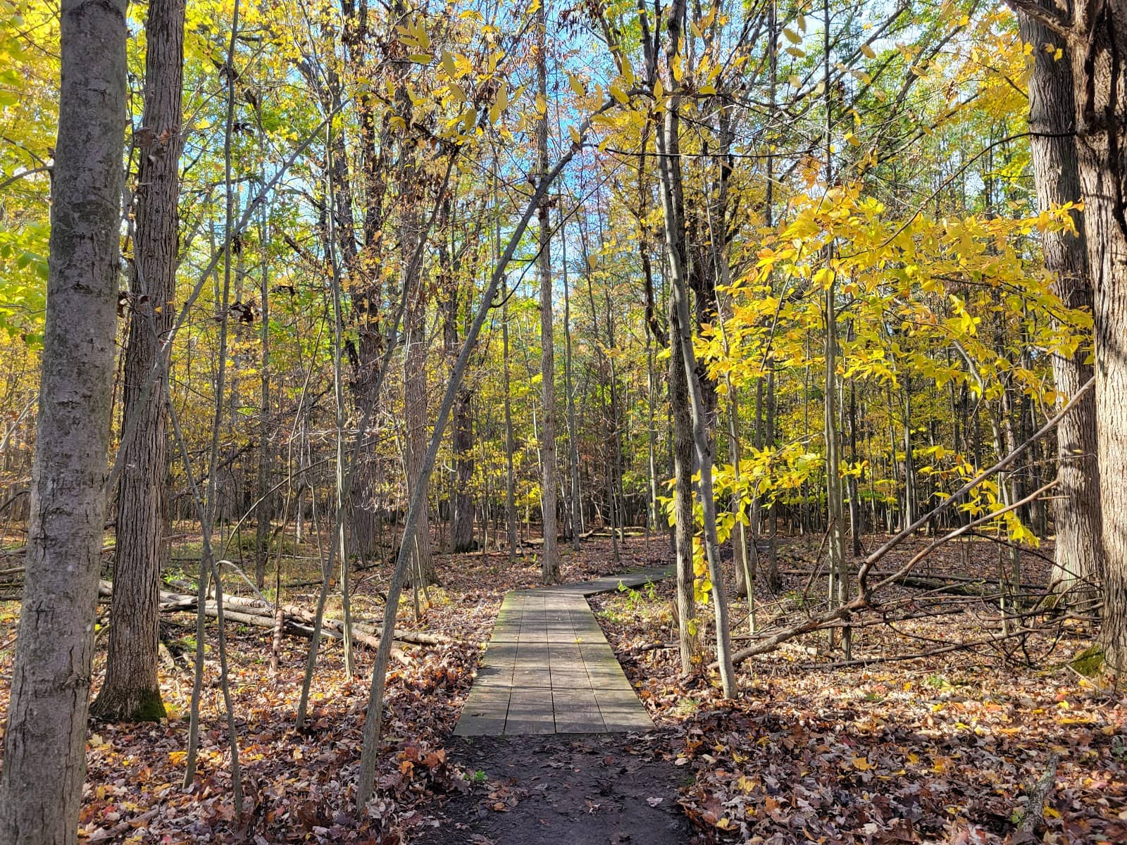 Wooded Trails & Boardwalks