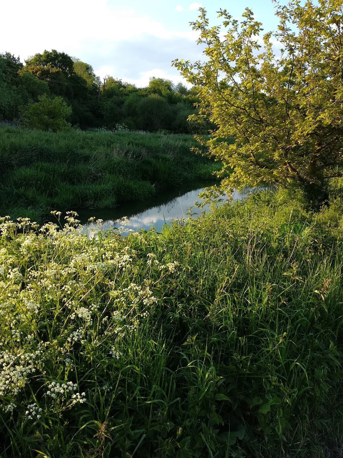 Davy Down Riverside Park - Image 1
