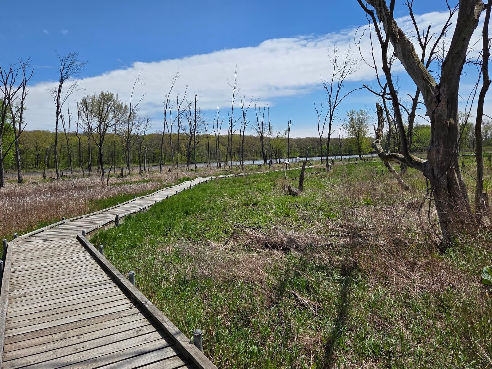 Ferson Creek Fen Nature Preserve - Image 1