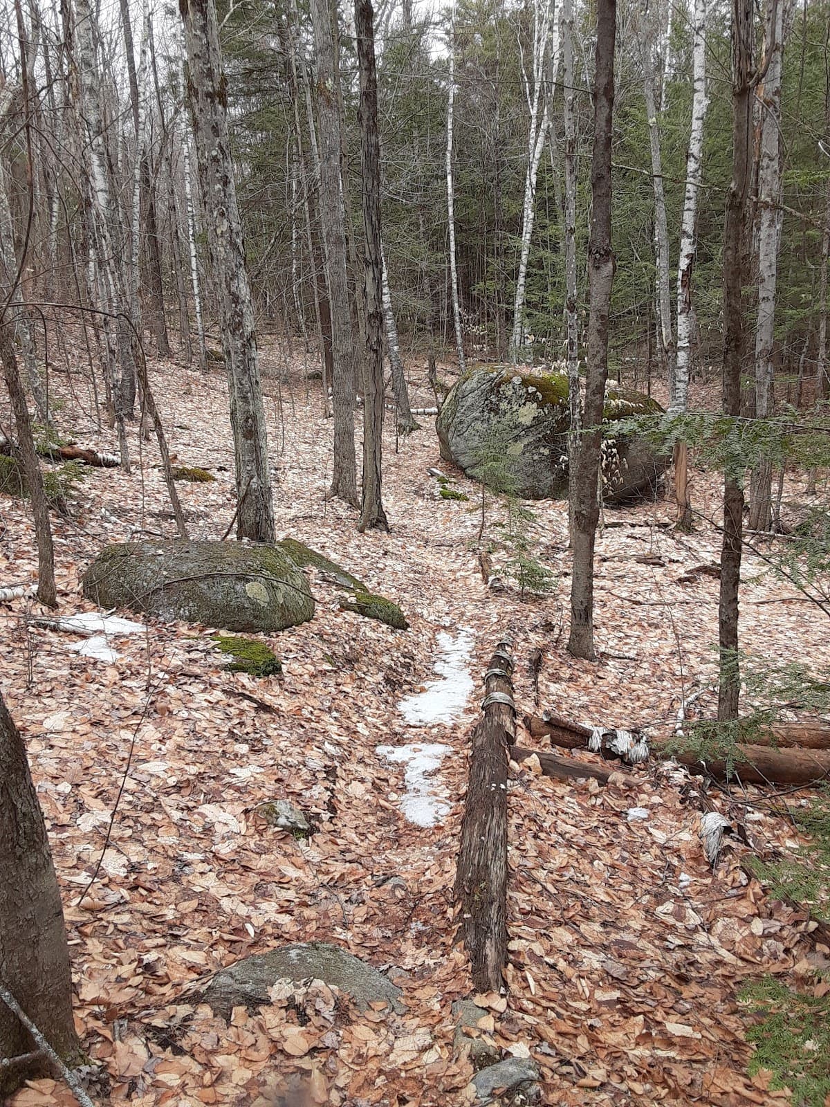 Ramblin' Vewe Farm Trails - Image 1