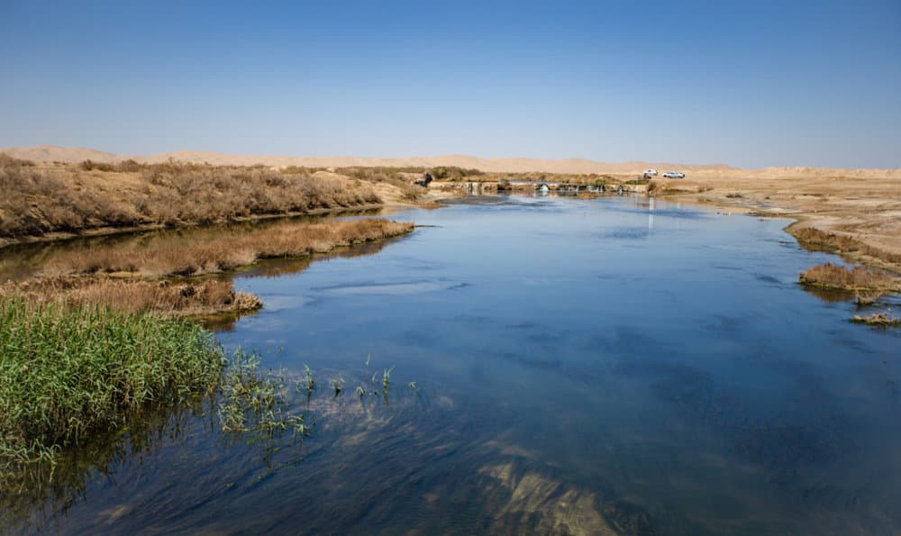 Gavkhuni Wetland Iran - Image 1