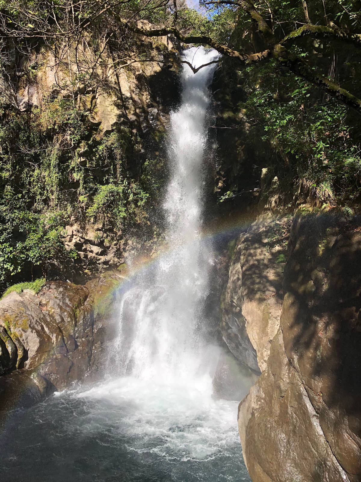 Vertical photo