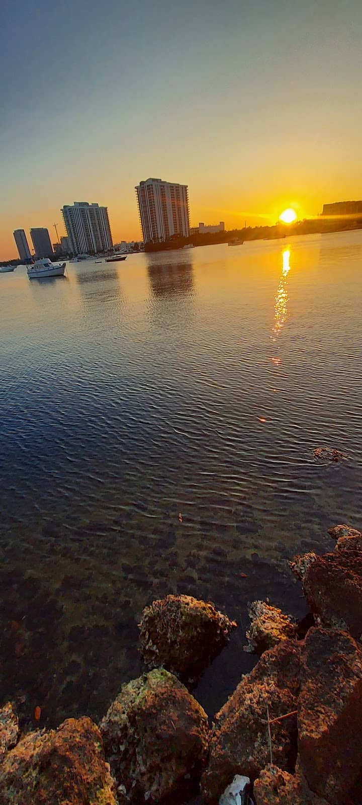Vertical photo