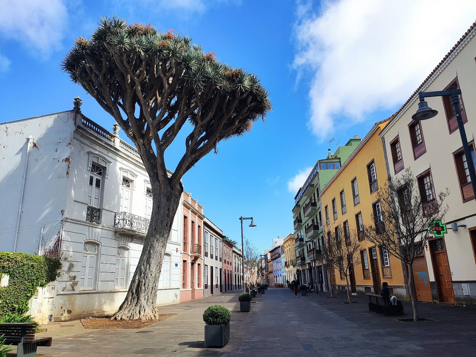 Vibrant Community Installations