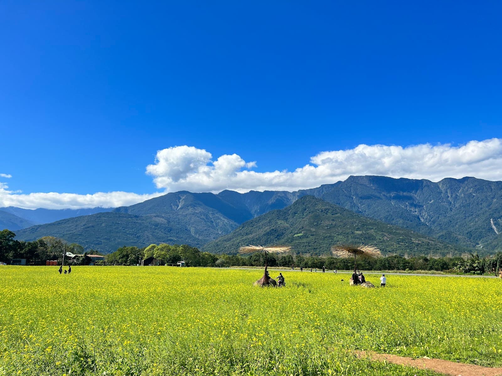 Danongdafu Forest Park - Image 1