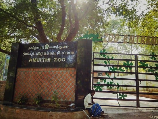 Amirthi Zoological Park - Image 1