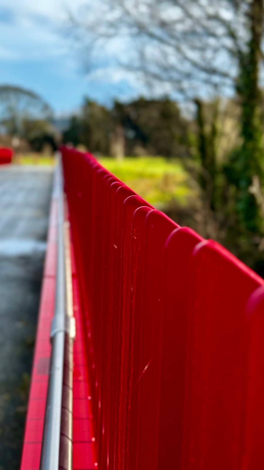 Vertical photo