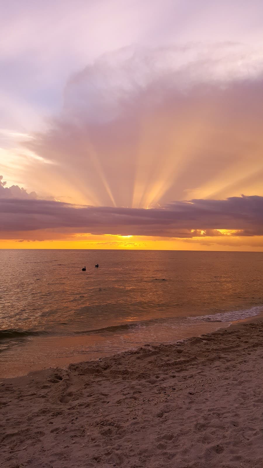 Clam Pass Beach - Image 1