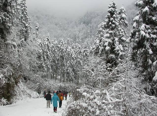 Serene Walking Trails