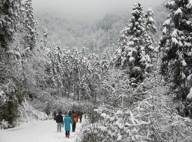 Longchi National Forest Park - Image 1