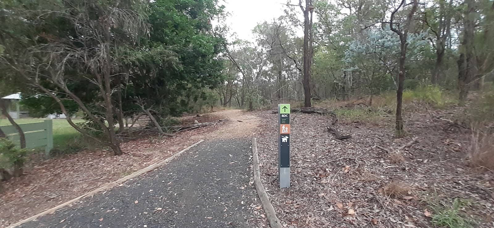 Shaded Walking Trails