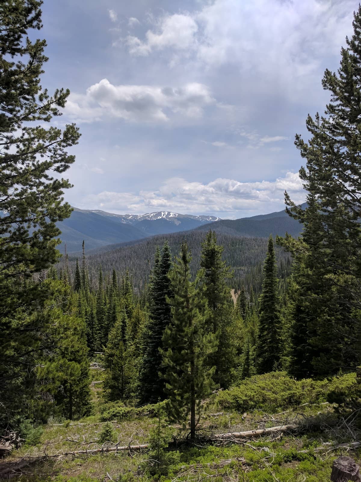 Vertical photo