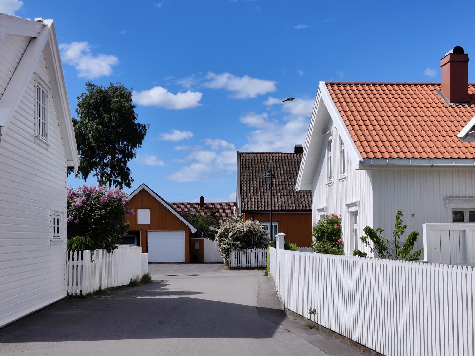 Østre Halsen Peninsula - Image 1