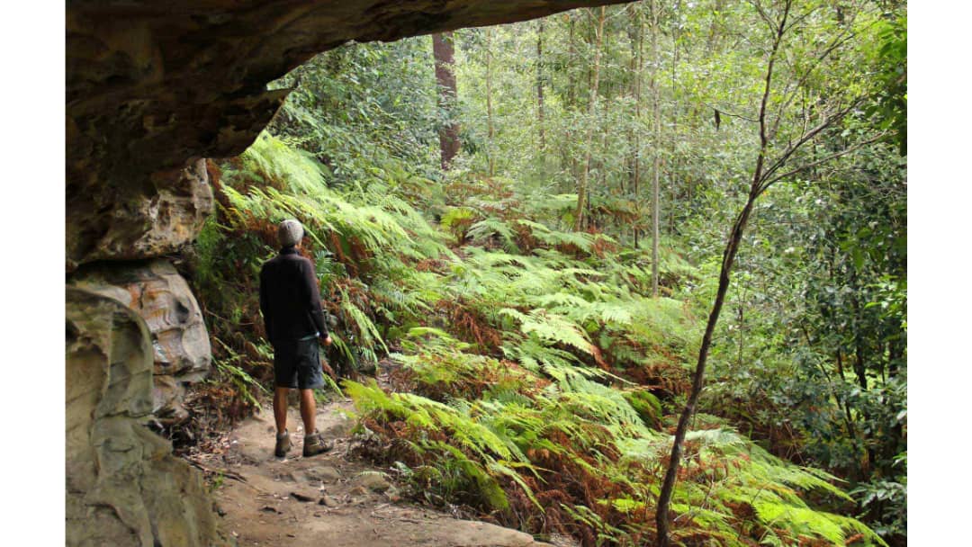 Mills Creek Campground