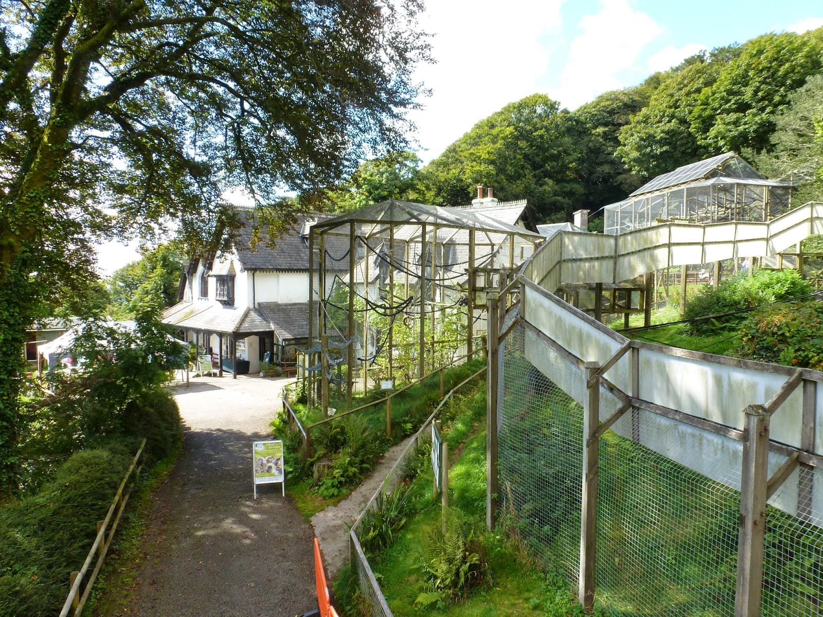 Wild Futures Monkey Sanctuary - Image 1