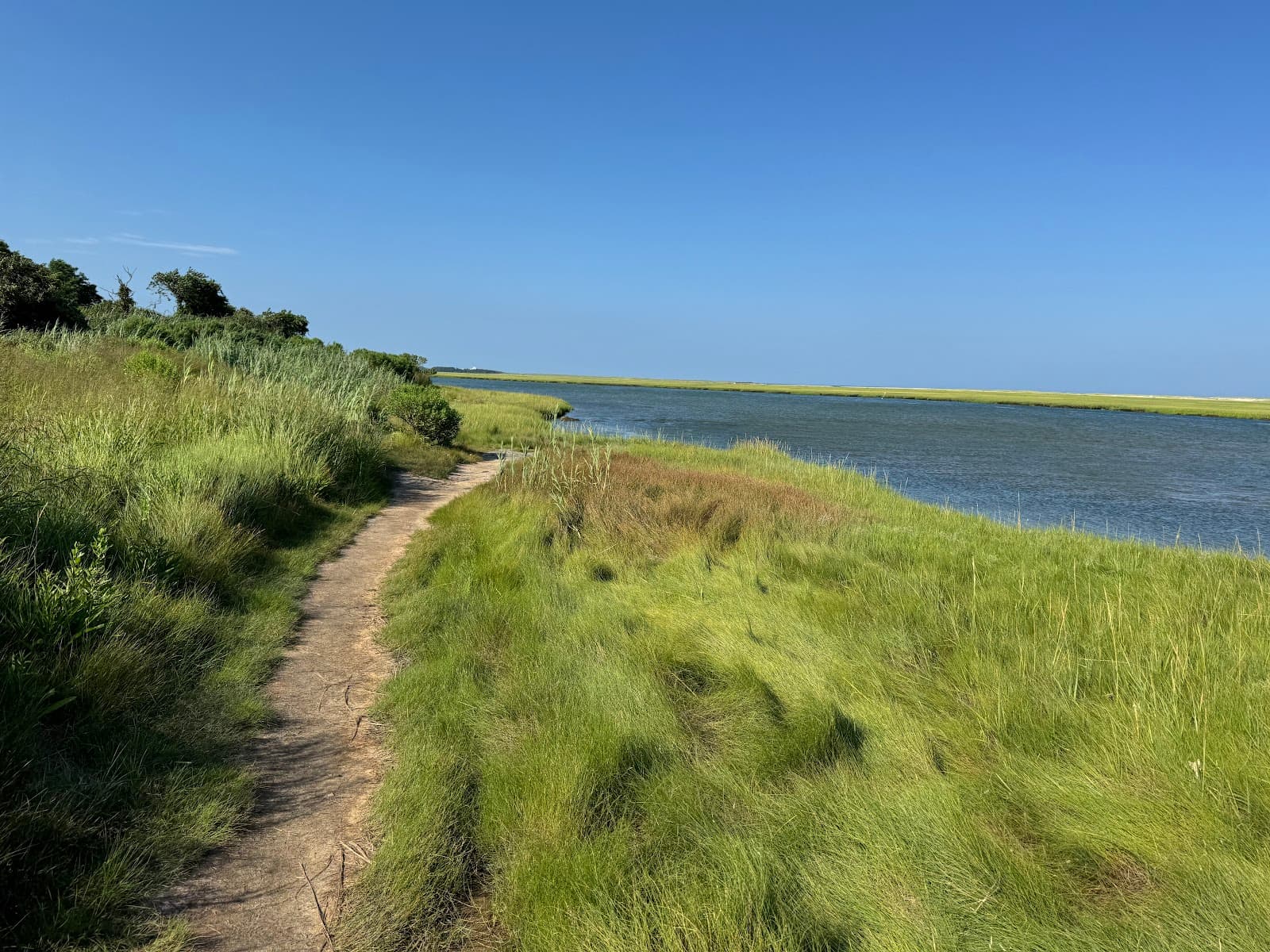 Nauset Marsh Overlook - Image 1
