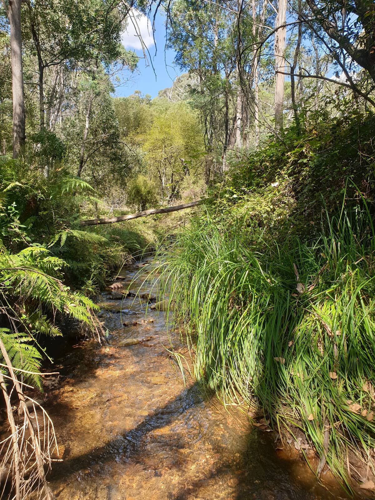 Wandiligong Public Hall