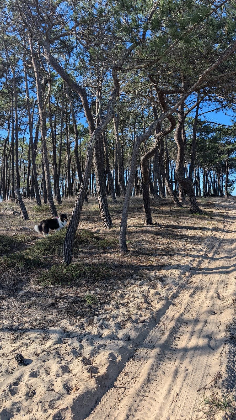 Cabranosa Viewpoint - Image 1
