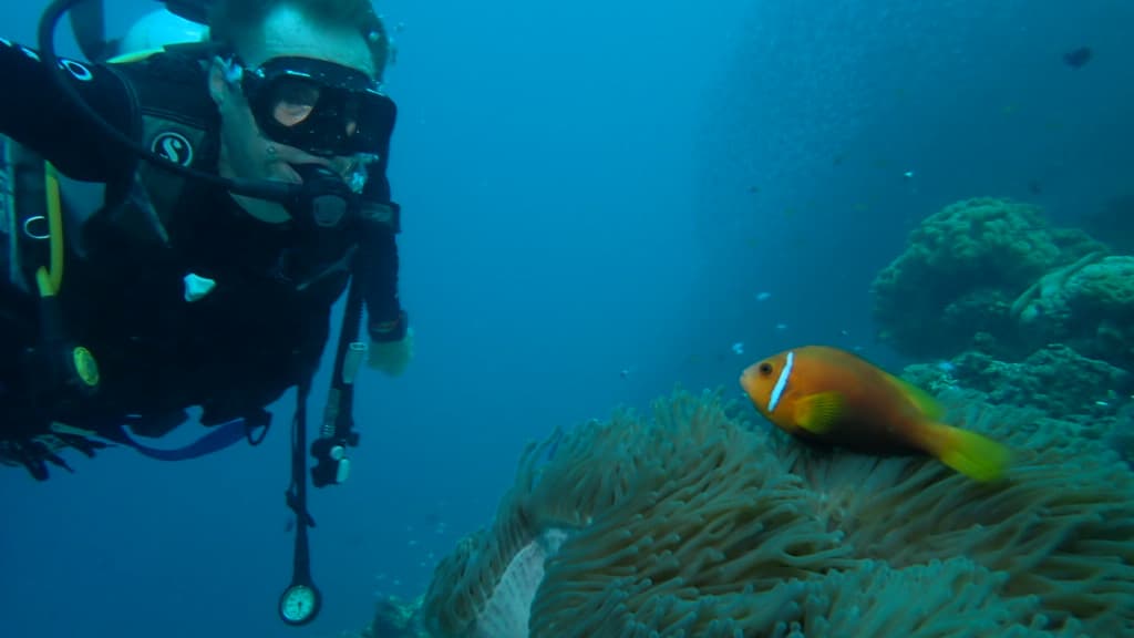 Kandooma Thila - Image 1