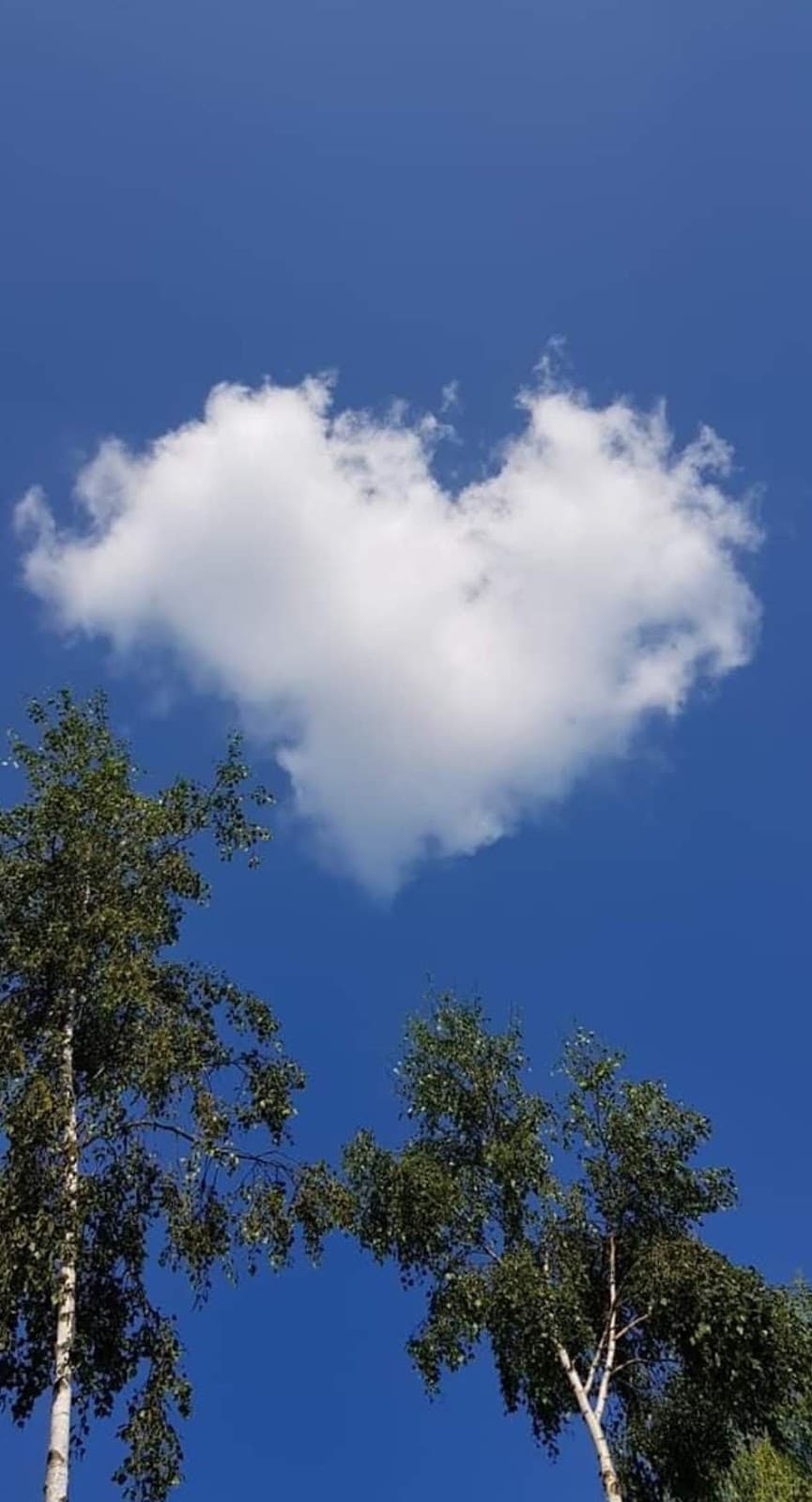 Gossops Green (neighborhood) - Image 1