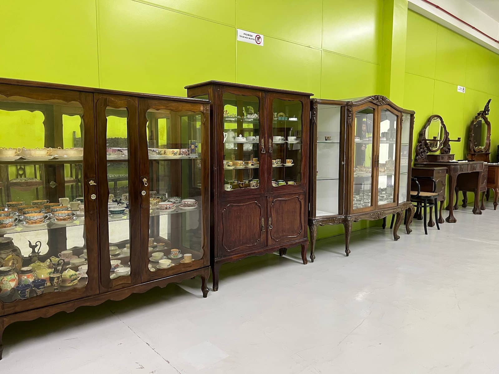 Paleontological Discoveries