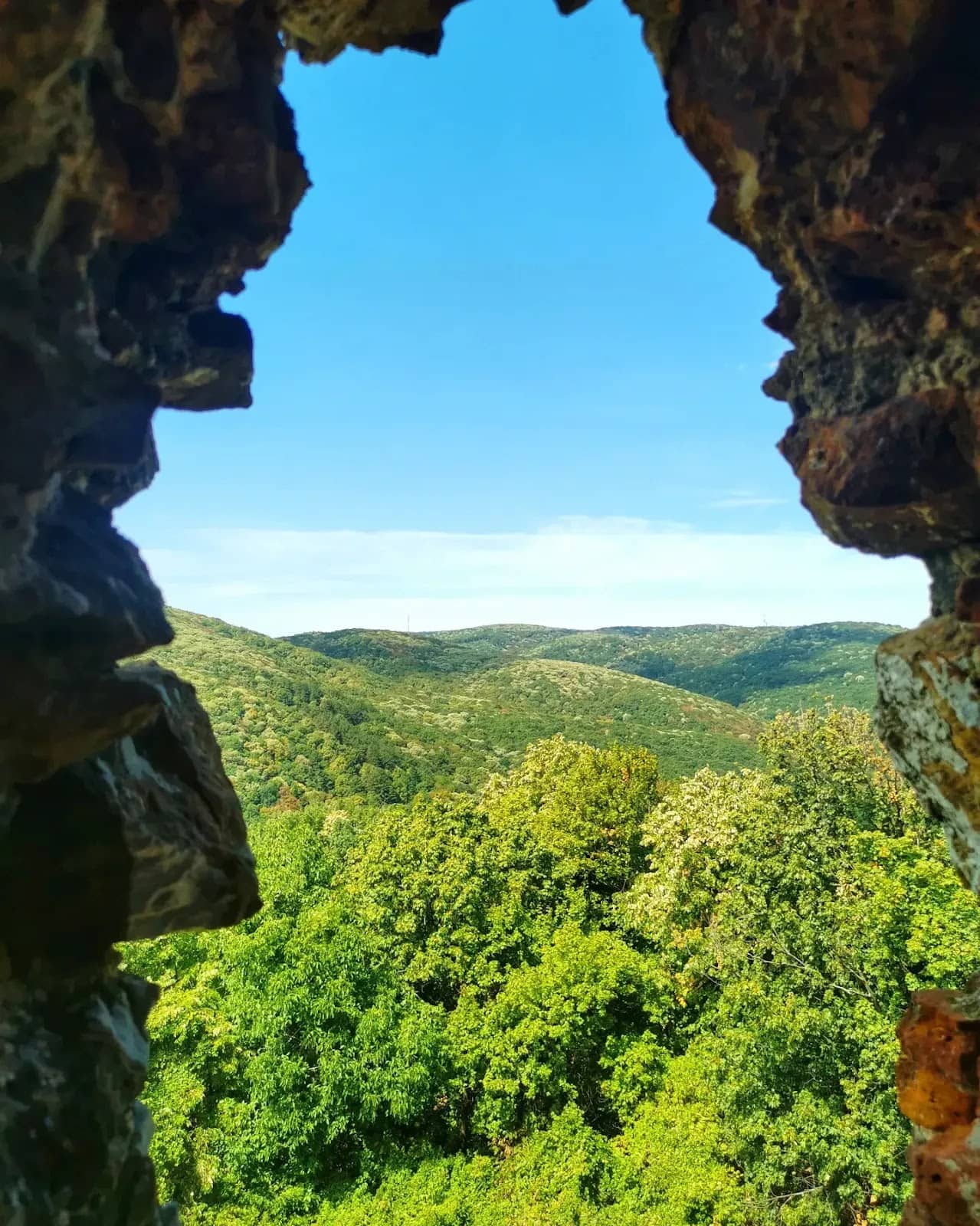 Vertical photo