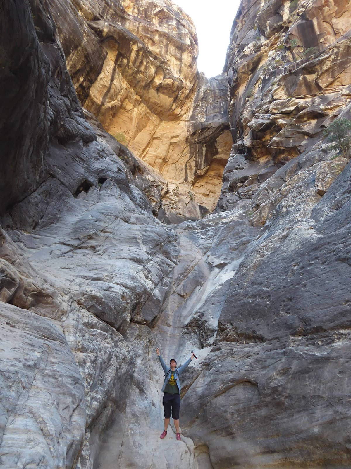 Turtlehead Peak Trail