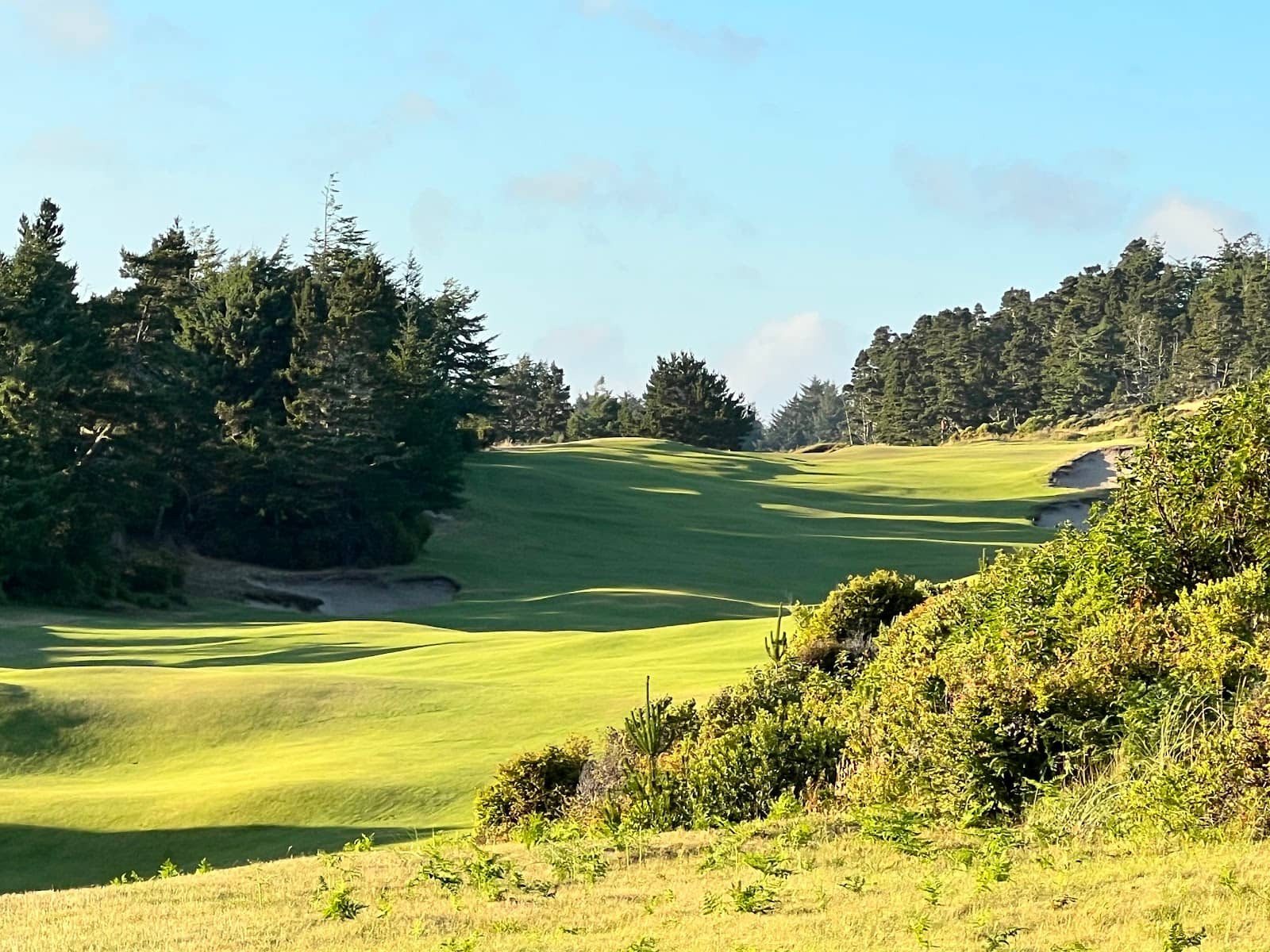 Spectacular Par 3s
