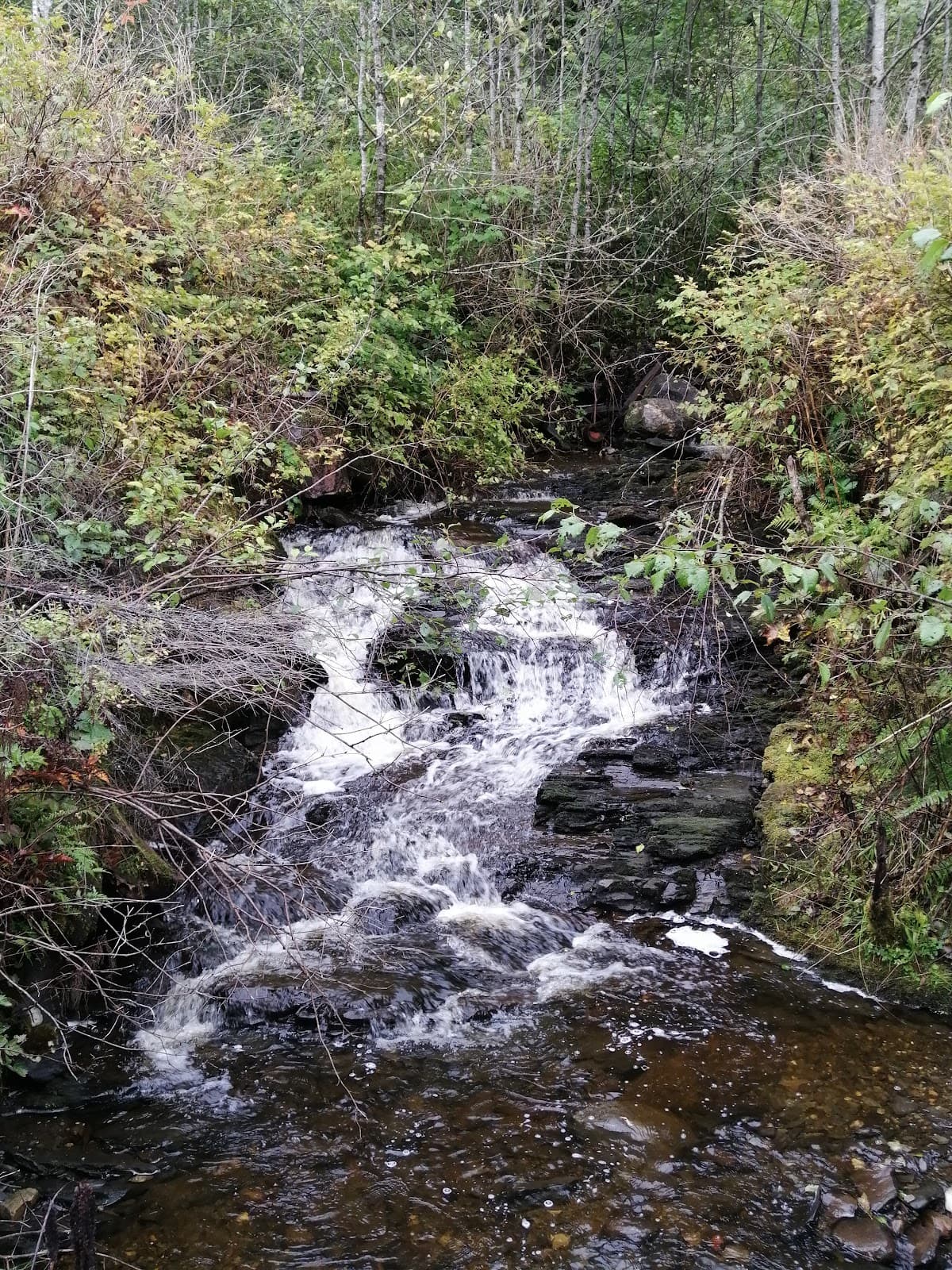 Oldfield Creek Fish Hatchery - Image 1