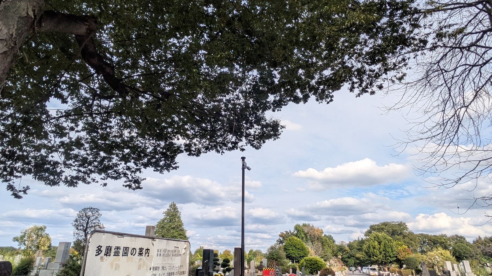 Tama Cemetery - Image 1
