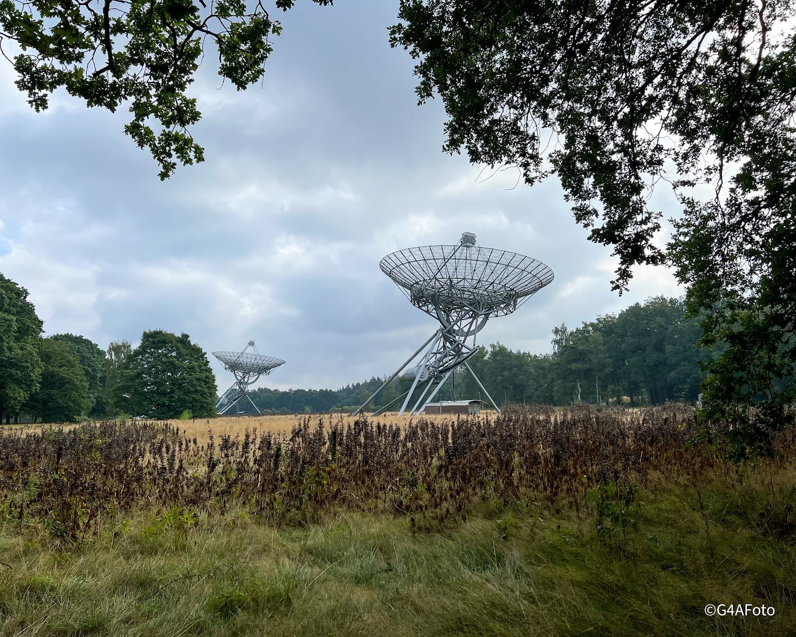 Westerbork Synthesis Radio Telescope - Image 1