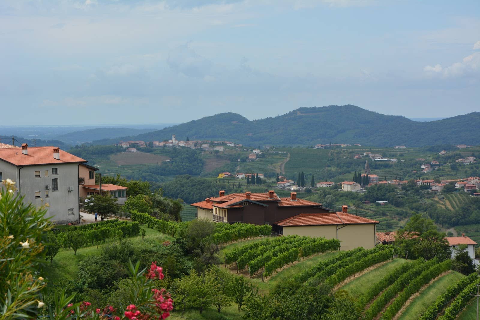 Briška House & Culture House