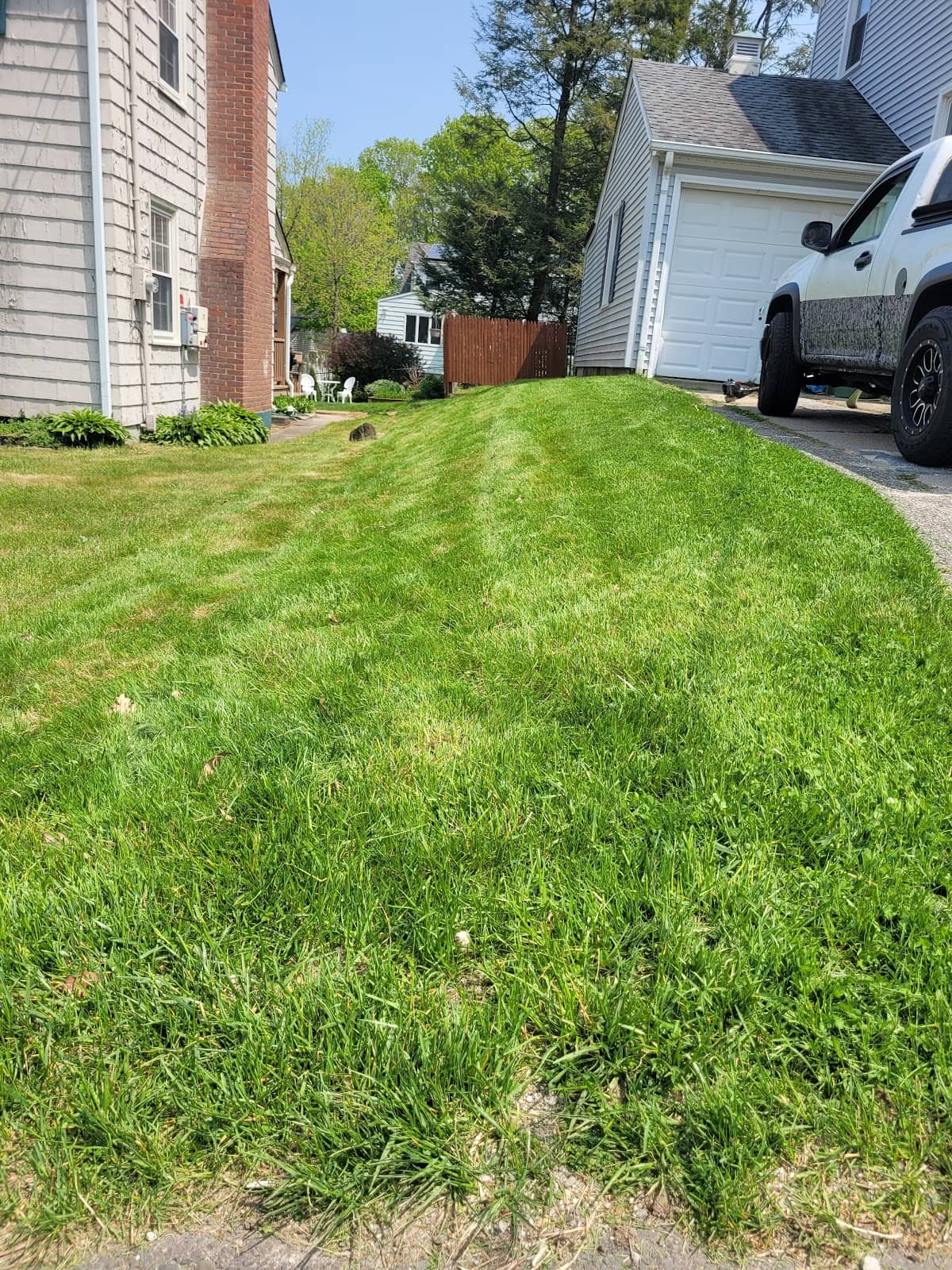 Celebration of Life Concerts