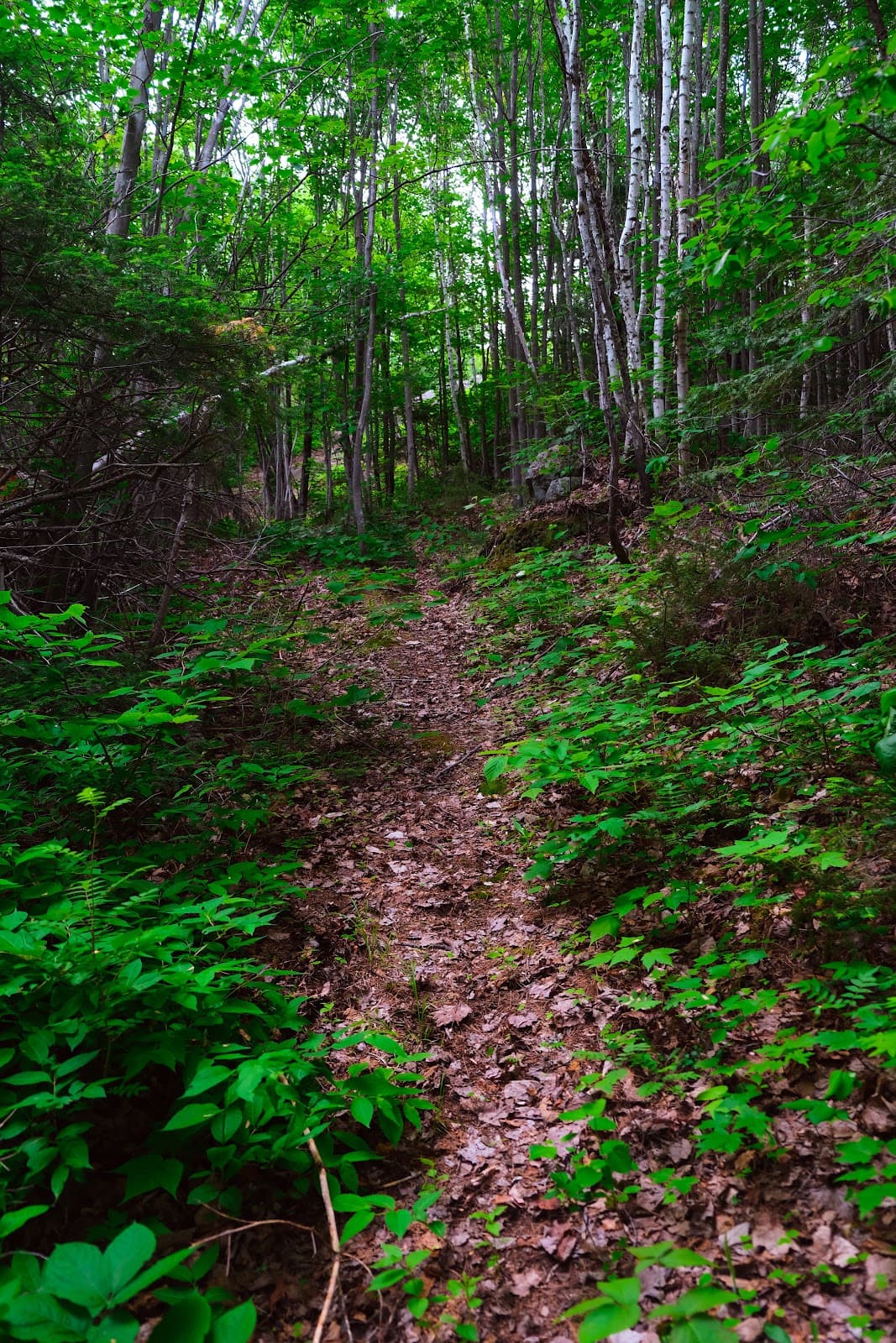 Centre culturel du Mont-Jacob - Image 1