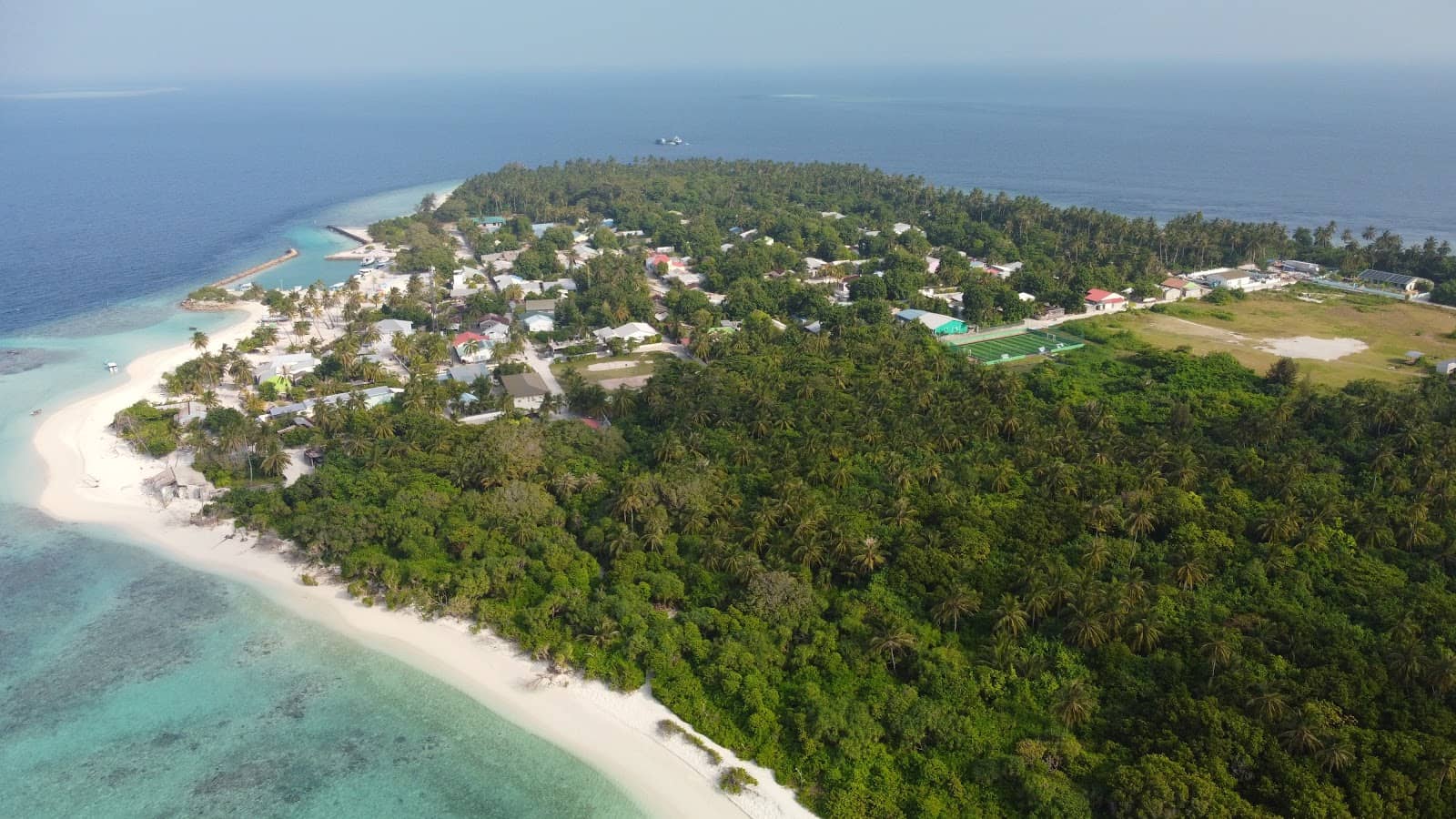 Dolphin Safari Adventure