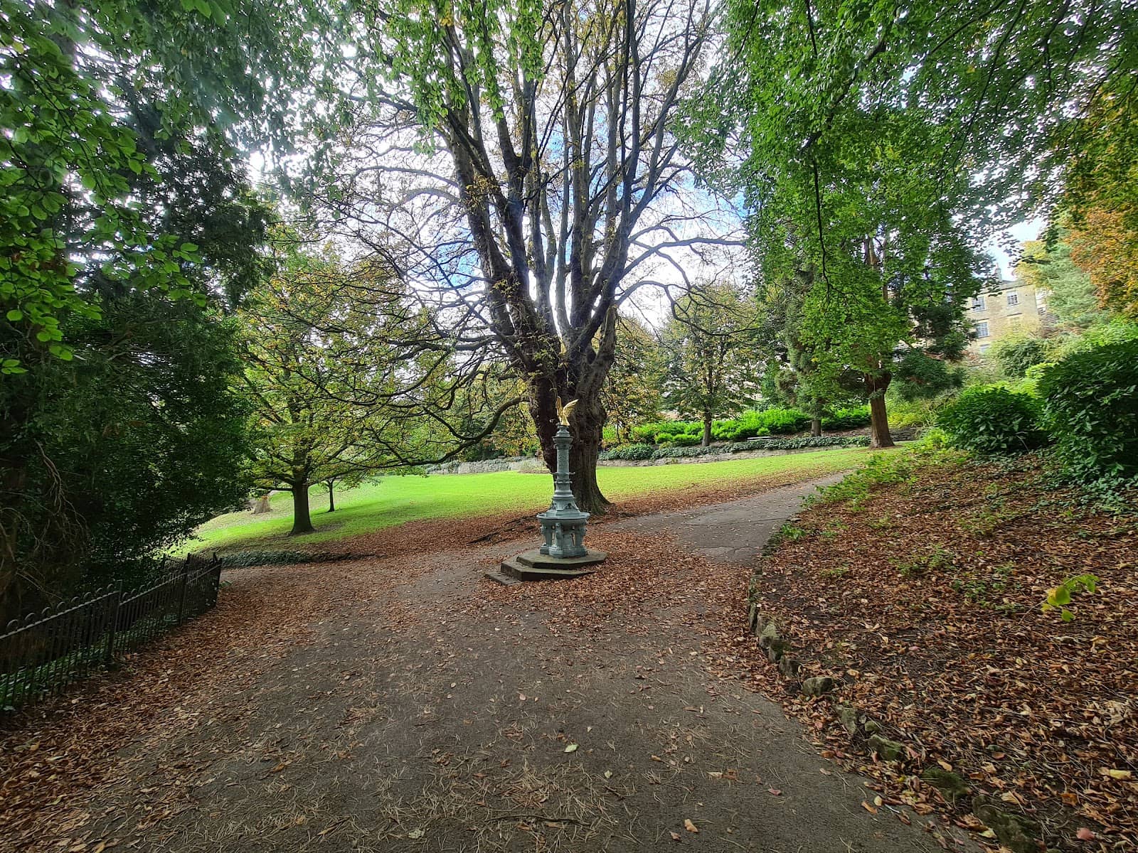 Vertical photo