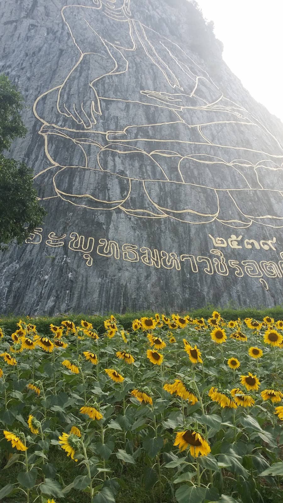 Vertical photo