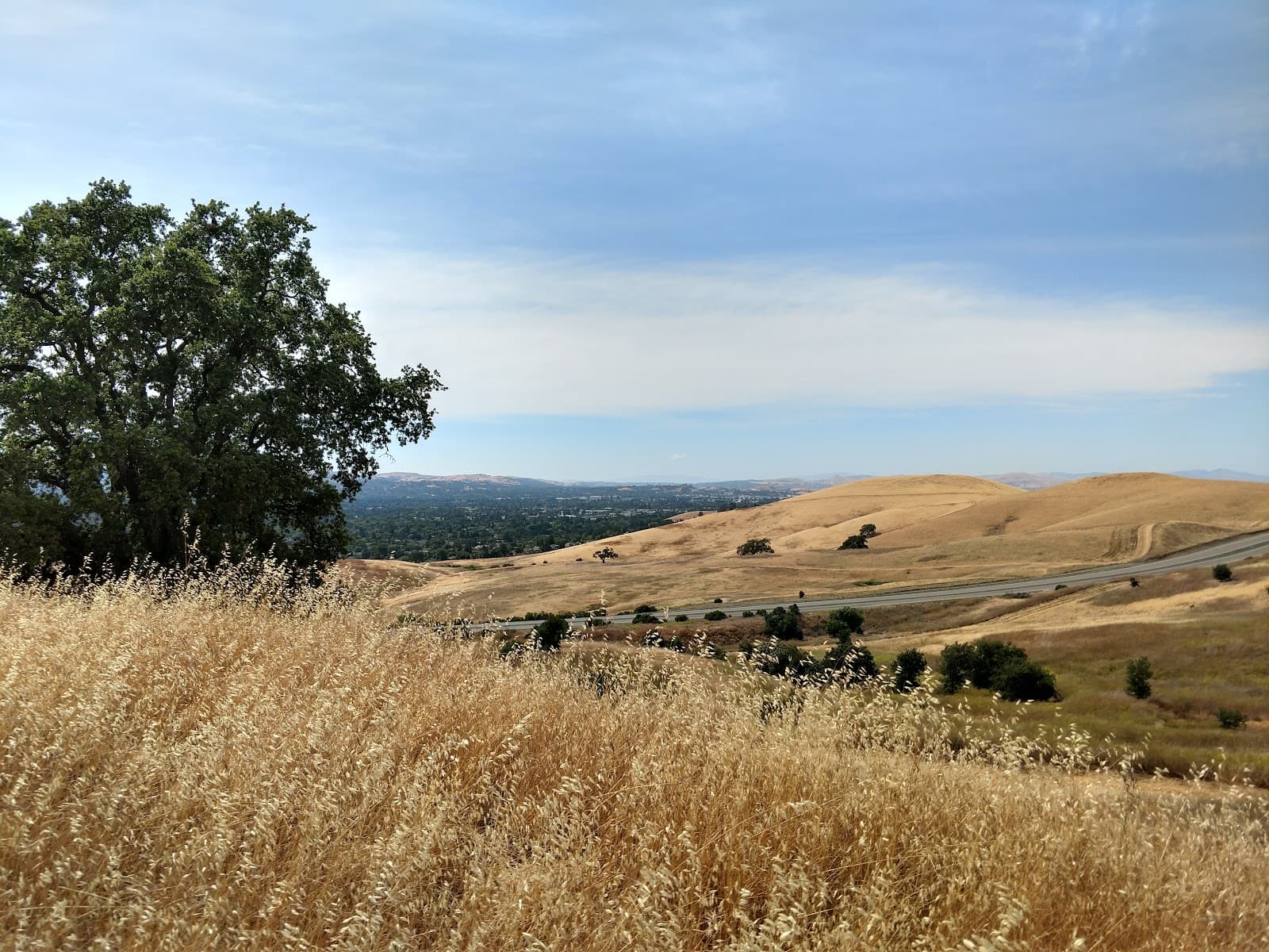 Lime Ridge Open Space - Image 1