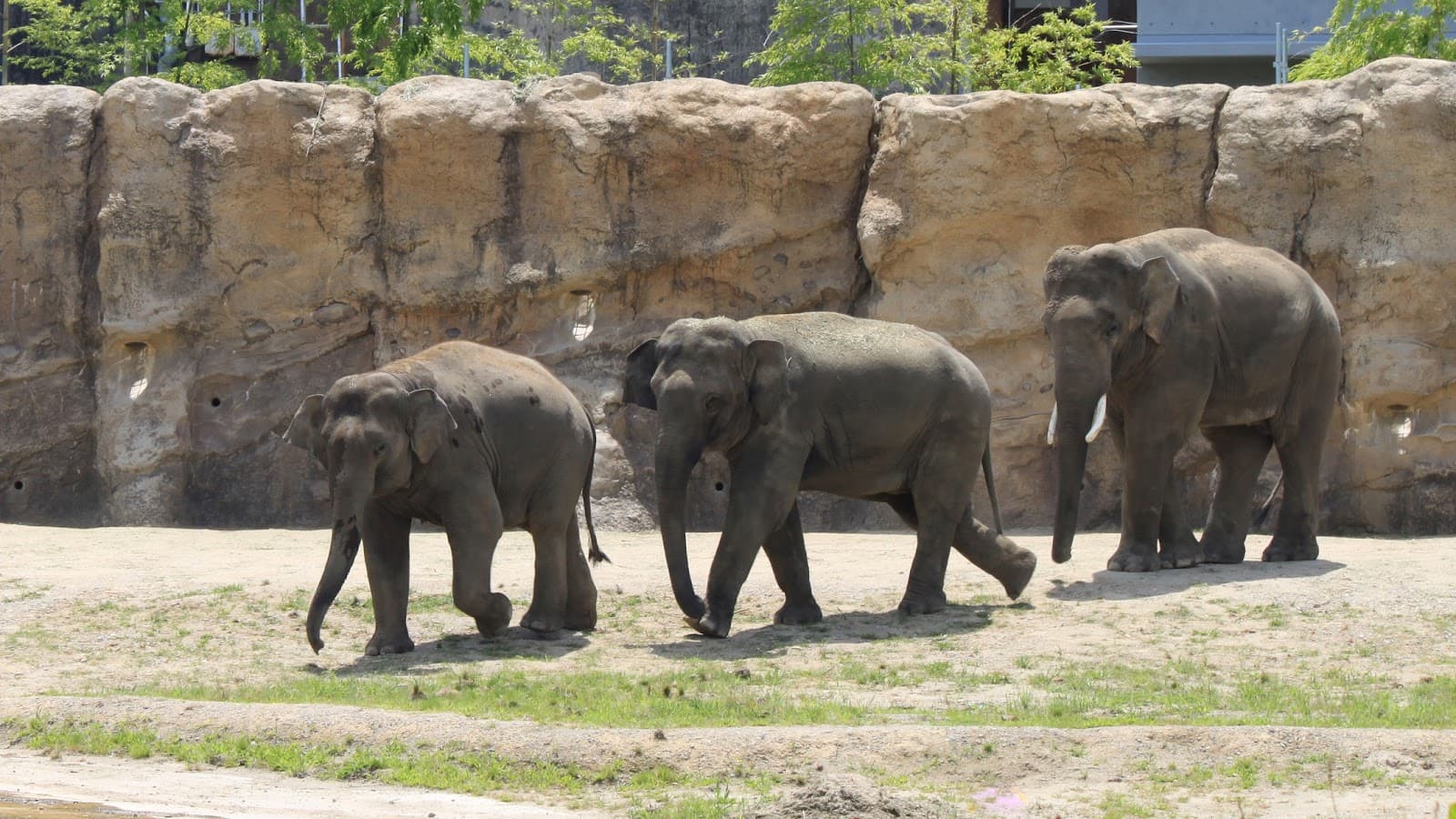 Ishimaki Park Observatory - Image 1