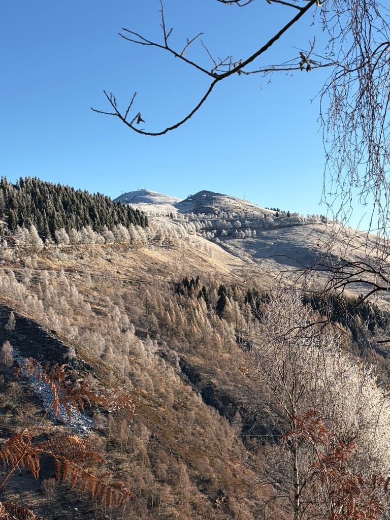 Oasi Zegna (Panoramica Zegna) - Image 1