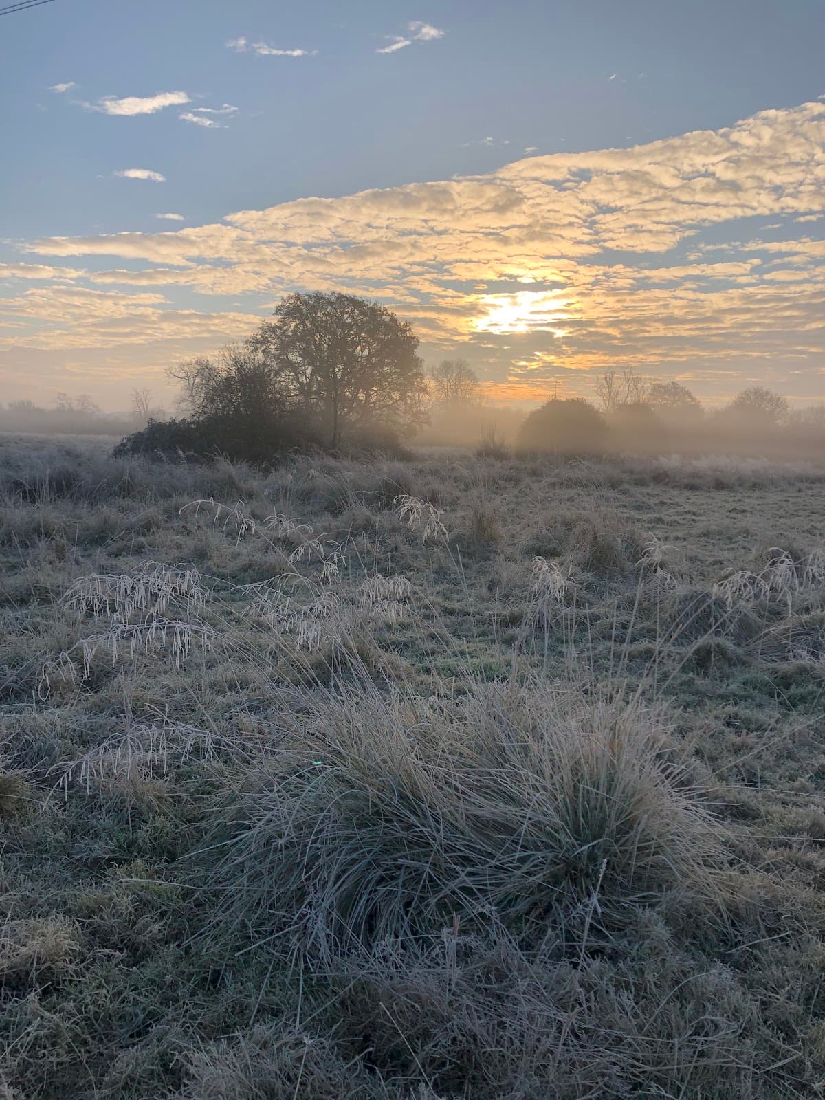 Coley Meadows Nature Reserve - Image 1