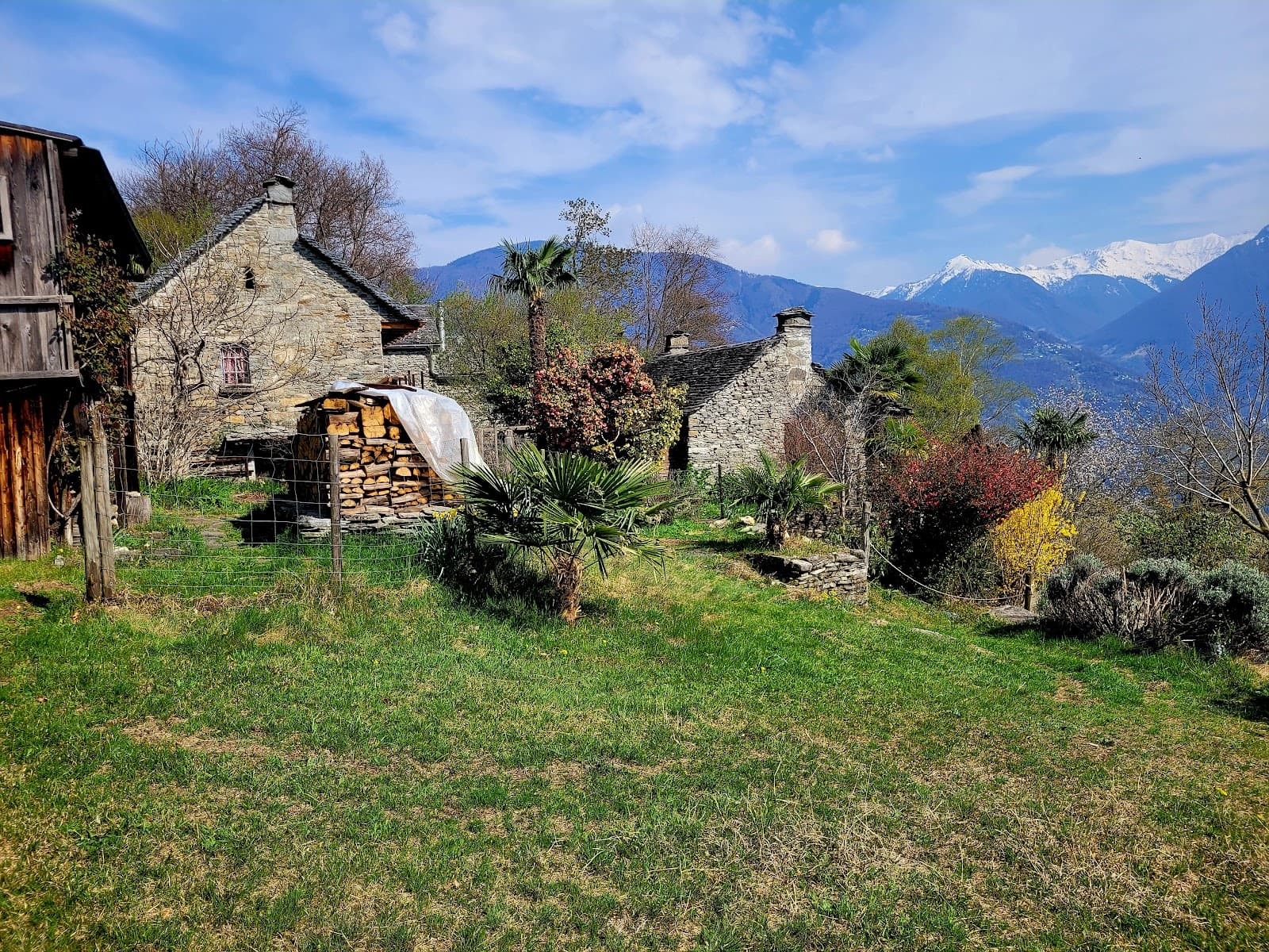 Curzútt and San Barnárd - Image 1