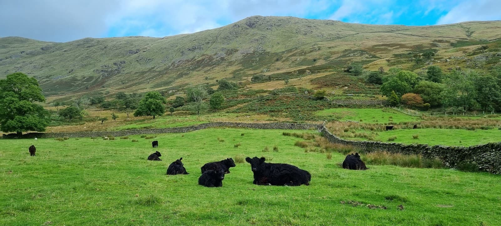 Kentmere Valley - Image 1