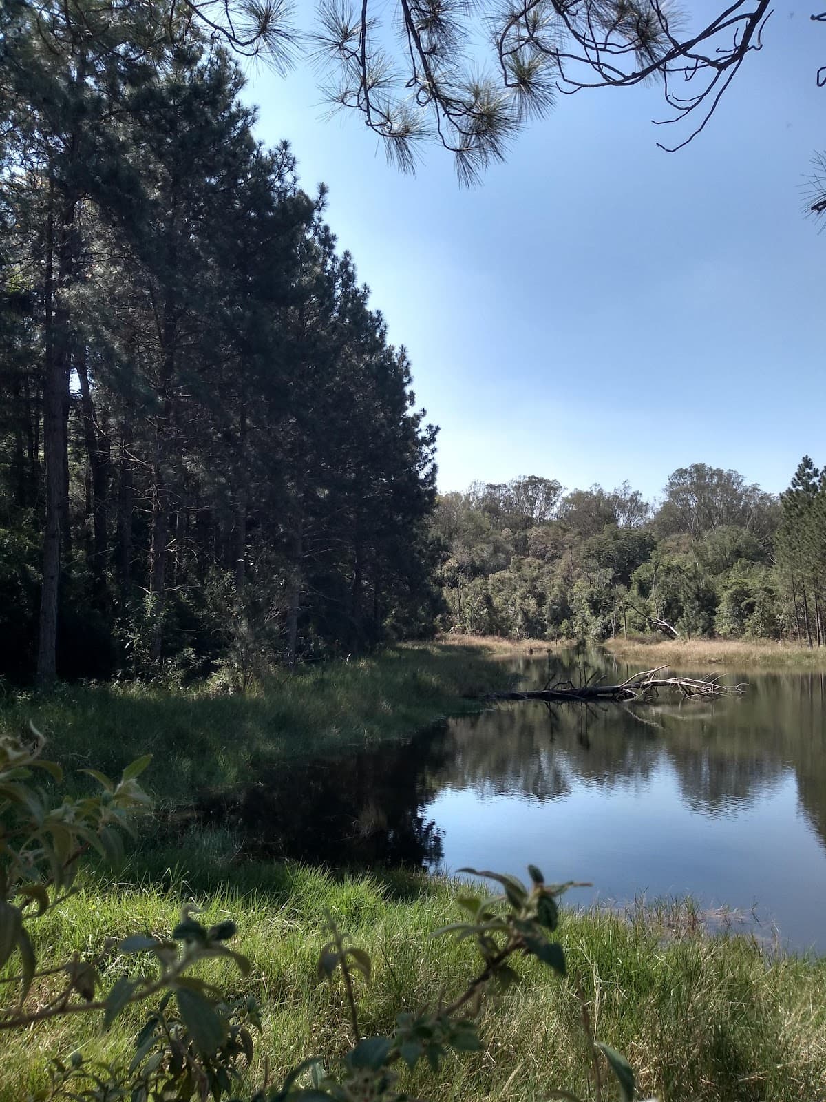 Serra do Itapetinga - Image 1