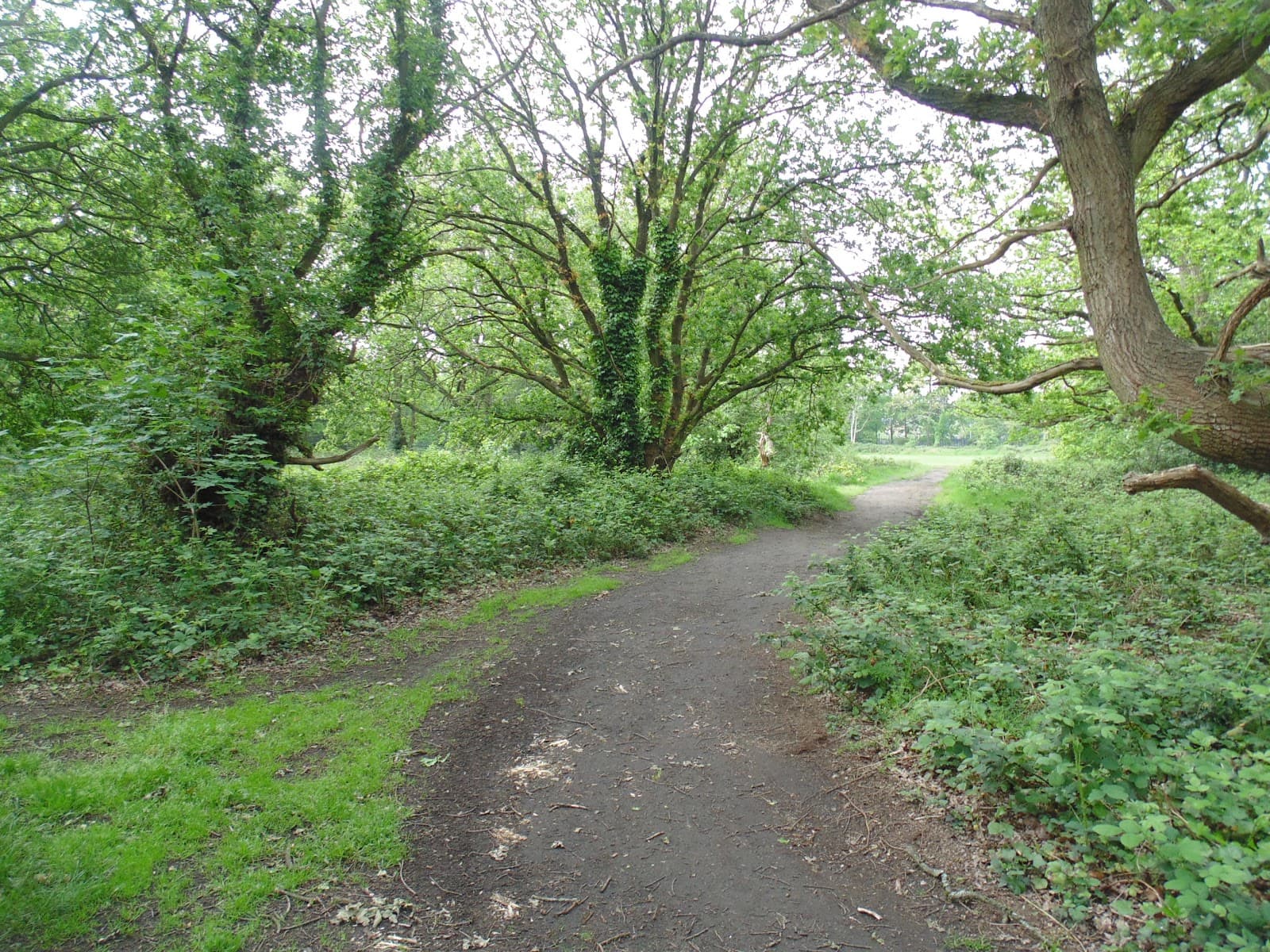 Barnes Common London - Image 1