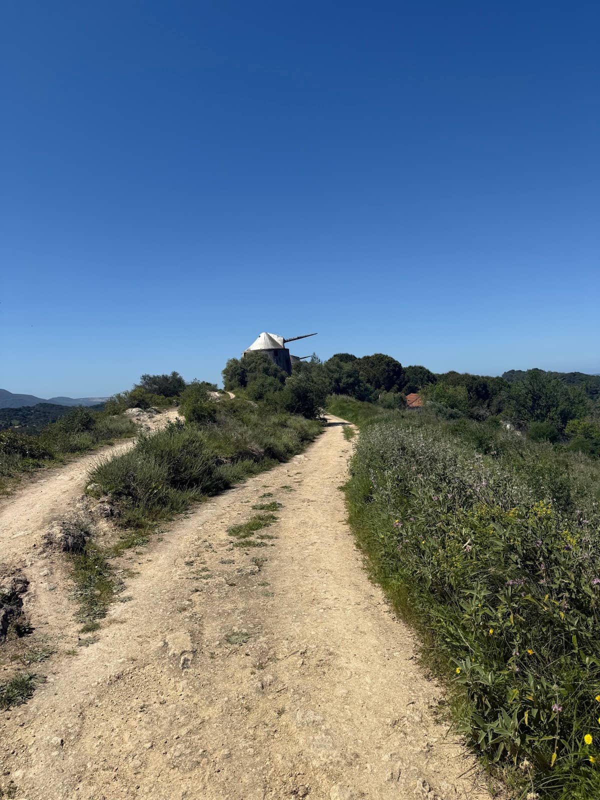 Tranquil Hiking Trails