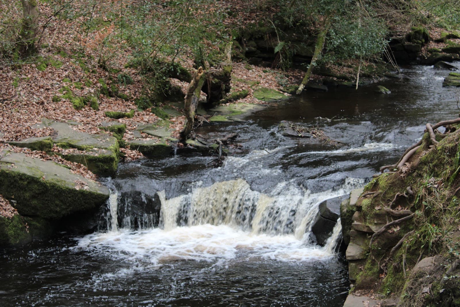 Rivelin Valley Nature Trail - Image 1