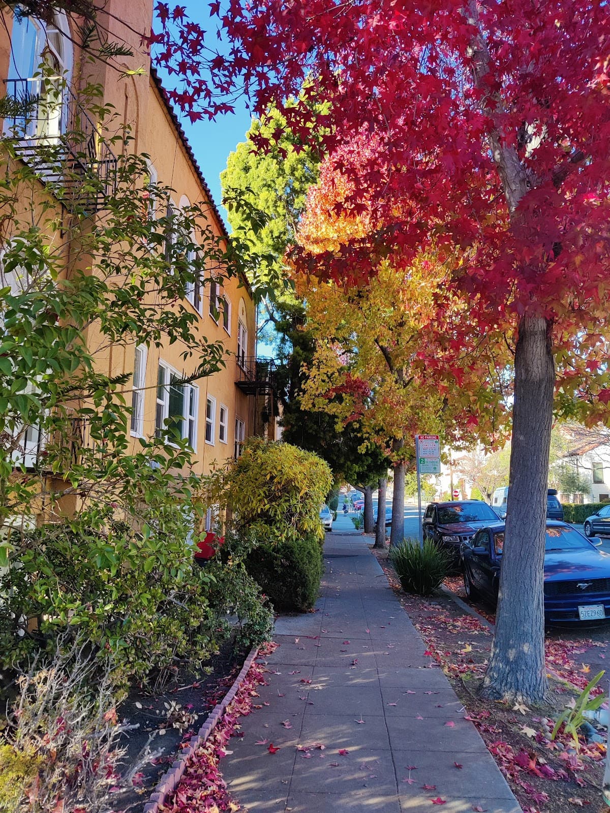 Berkeley San Francisco - Image 1