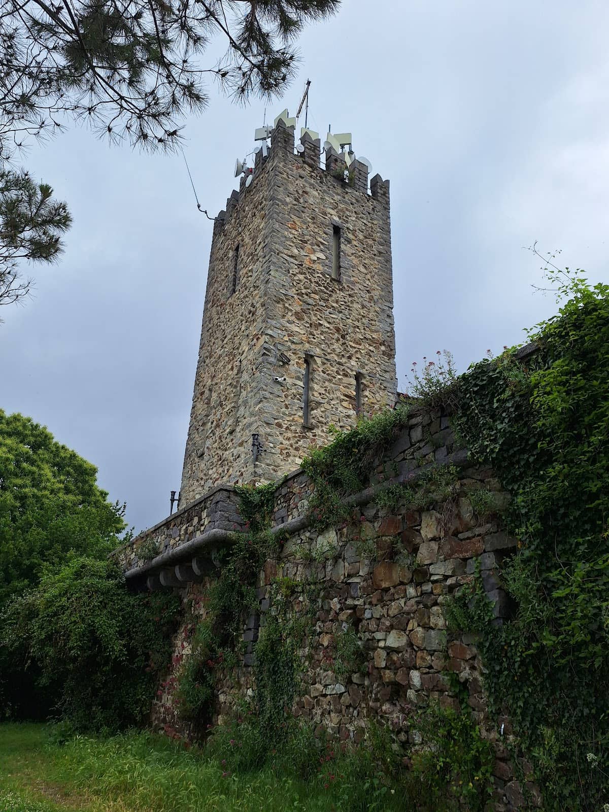 Vertical photo