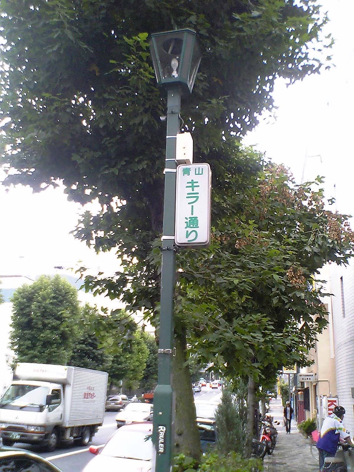 Vertical photo